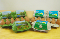 fresh pennine eggs from j rainfords and sons limited