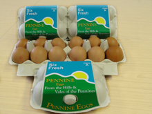 fresh pennine eggs