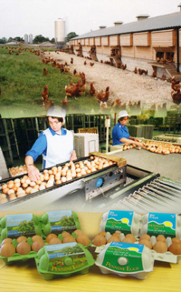 about j rainfords and sons ltd